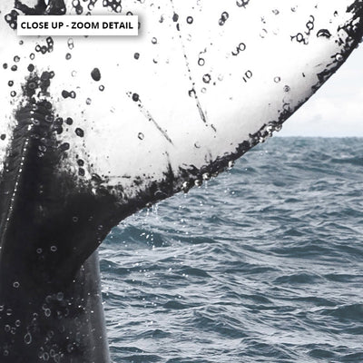 Humpback Whale Tail - Art Print, Poster, Stretched Canvas or Framed Wall Art, Close up View of Print Resolution