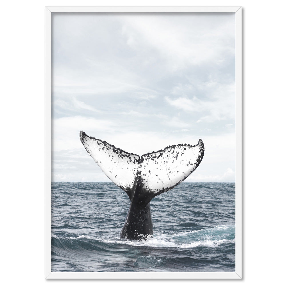 Humpback Whale Tail - Art Print, Poster, Stretched Canvas, or Framed Wall Art Print, shown in a white frame