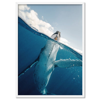 Underwater Humpback Whale I - Art Print, Poster, Stretched Canvas, or Framed Wall Art Print, shown in a white frame