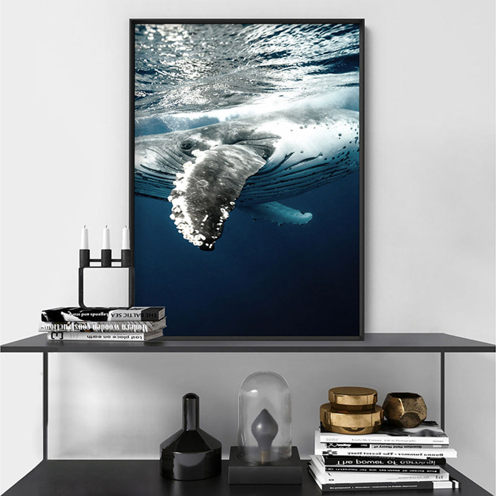 Underwater Humpback Whale II - Art Print, Poster, Stretched Canvas or Framed Wall Art Prints, shown framed in a room