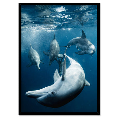 Dolphins Under the Sea - Art Print, Poster, Stretched Canvas, or Framed Wall Art Print, shown in a black frame