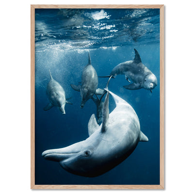 Dolphins Under the Sea - Art Print, Poster, Stretched Canvas, or Framed Wall Art Print, shown in a natural timber frame