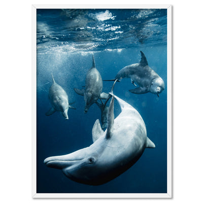 Dolphins Under the Sea - Art Print, Poster, Stretched Canvas, or Framed Wall Art Print, shown in a white frame