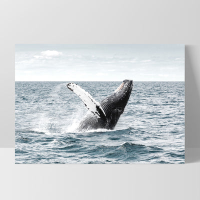 Humpback Whale - Art Print, Poster, Stretched Canvas, or Framed Wall Art Print, shown as a stretched canvas or poster without a frame