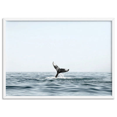 Humpback Whale Tail II Landscape - Art Print, Poster, Stretched Canvas, or Framed Wall Art Print, shown in a white frame