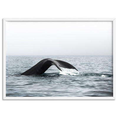 Humpback Whale Tail III Landscape - Art Print, Poster, Stretched Canvas, or Framed Wall Art Print, shown in a white frame