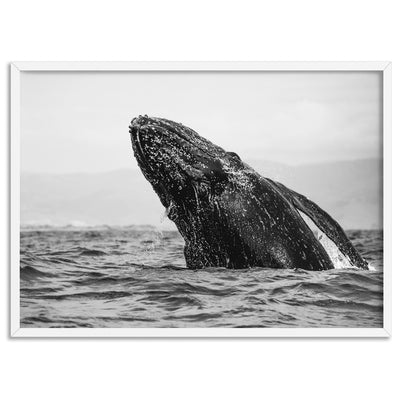 Humpback Whale Breach Landscape - Art Print, Poster, Stretched Canvas, or Framed Wall Art Print, shown in a white frame