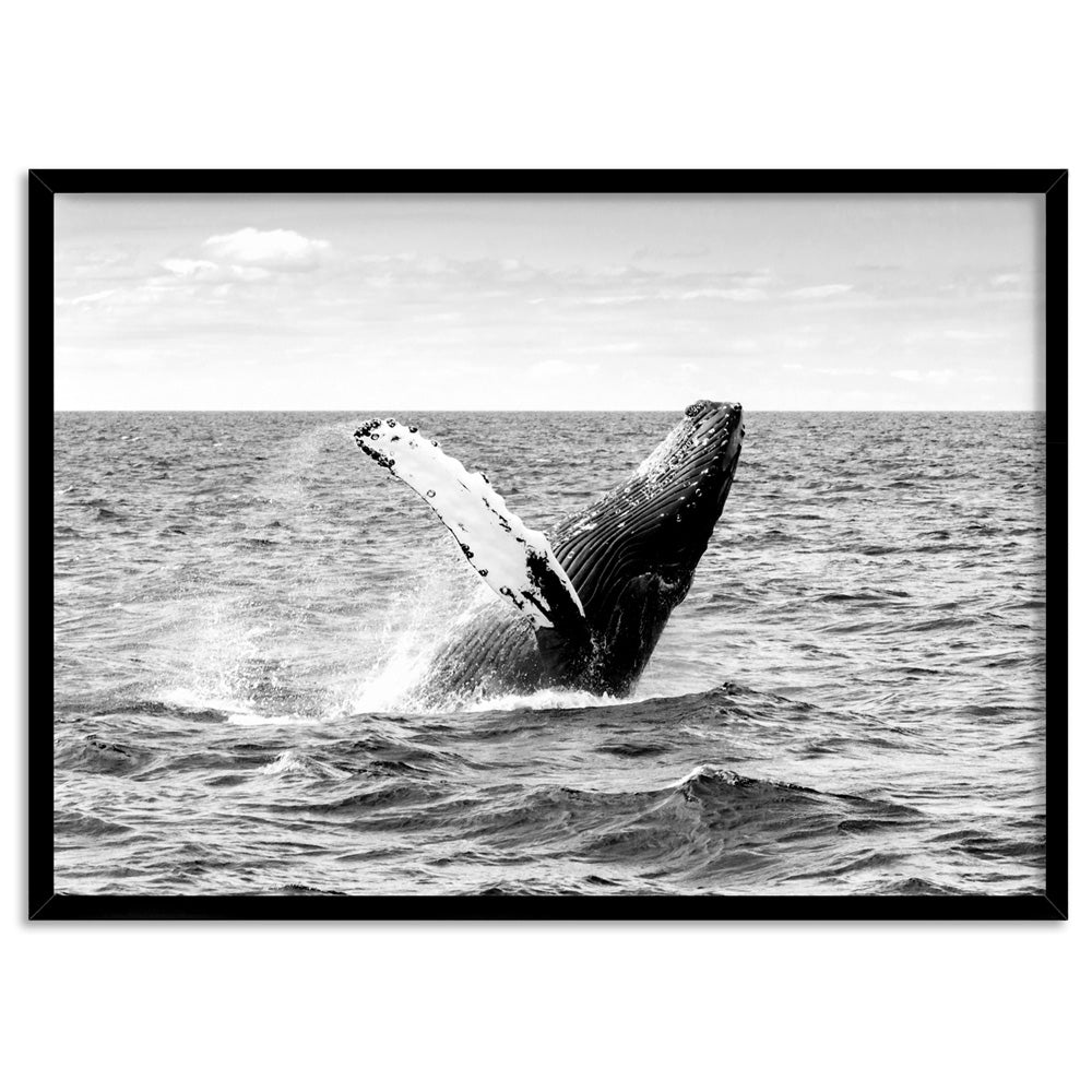 Humpback Whale Breach Landscape II - Art Print, Poster, Stretched Canvas, or Framed Wall Art Print, shown in a black frame