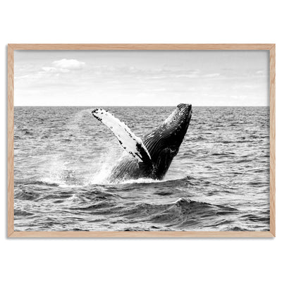 Humpback Whale Breach Landscape II - Art Print, Poster, Stretched Canvas, or Framed Wall Art Print, shown in a natural timber frame