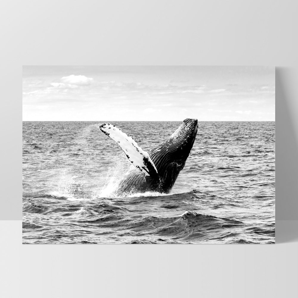 Humpback Whale Breach Landscape II - Art Print, Poster, Stretched Canvas, or Framed Wall Art Print, shown as a stretched canvas or poster without a frame