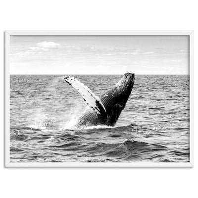 Humpback Whale Breach Landscape II - Art Print, Poster, Stretched Canvas, or Framed Wall Art Print, shown in a white frame