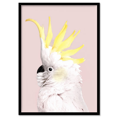 White Sulphur Crested Cockatoo on Blush - Art Print, Poster, Stretched Canvas, or Framed Wall Art Print, shown in a black frame