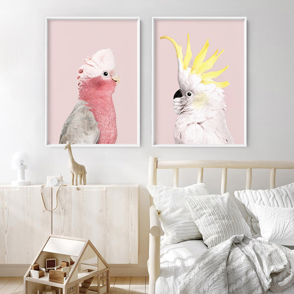 White Sulphur Crested Cockatoo on Blush - Art Print, Poster, Stretched Canvas or Framed Wall Art, shown framed in a home interior space