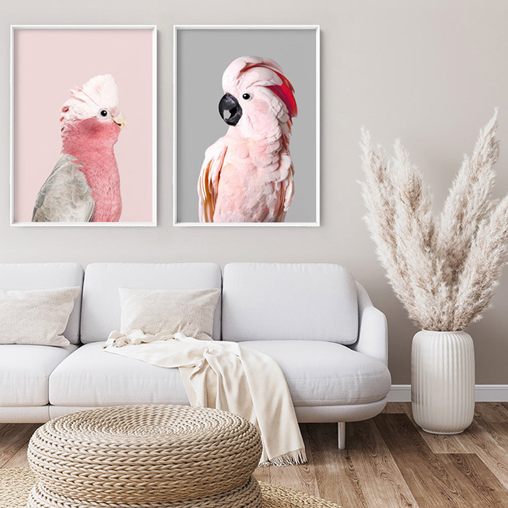 Salmon Crested Cockatoo II - Art Print, Poster, Stretched Canvas or Framed Wall Art, shown framed in a home interior space