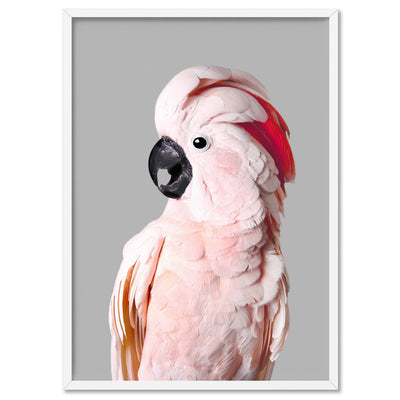 Salmon Crested Cockatoo II - Art Print, Poster, Stretched Canvas, or Framed Wall Art Print, shown in a white frame
