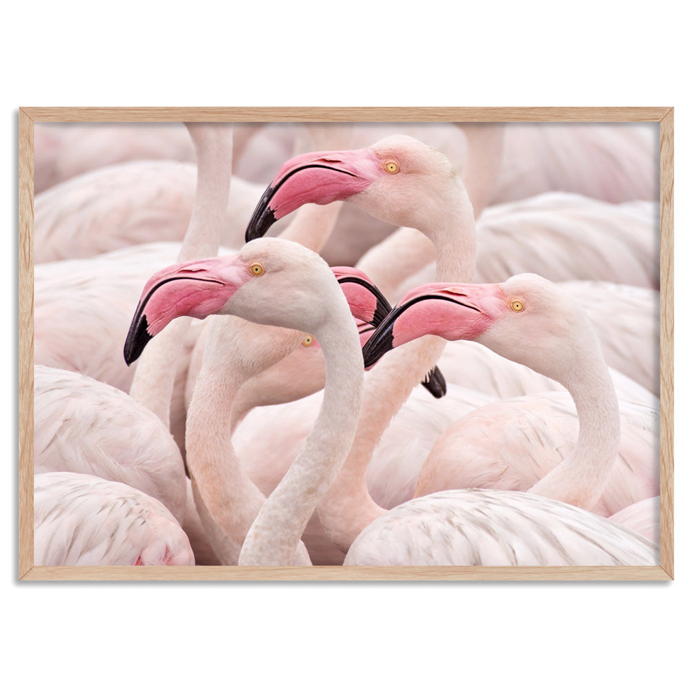 Pink Flamingos Flock Landscape - Art Print, Poster, Stretched Canvas, or Framed Wall Art Print, shown in a natural timber frame