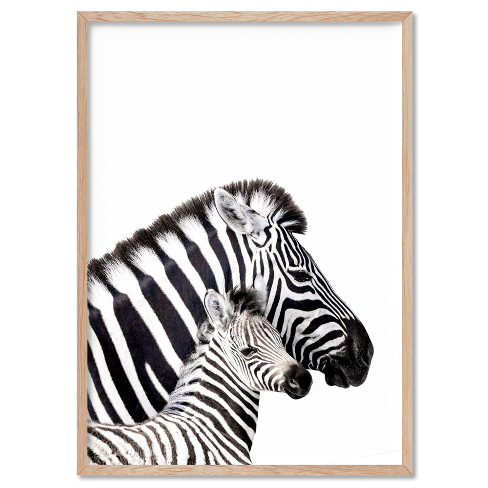 Zebra Mother and Baby - Art Print, Poster, Stretched Canvas, or Framed Wall Art Print, shown in a natural timber frame