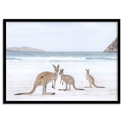 Coastal Beach Kangaroos II - Art Print, Poster, Stretched Canvas, or Framed Wall Art Print, shown in a black frame