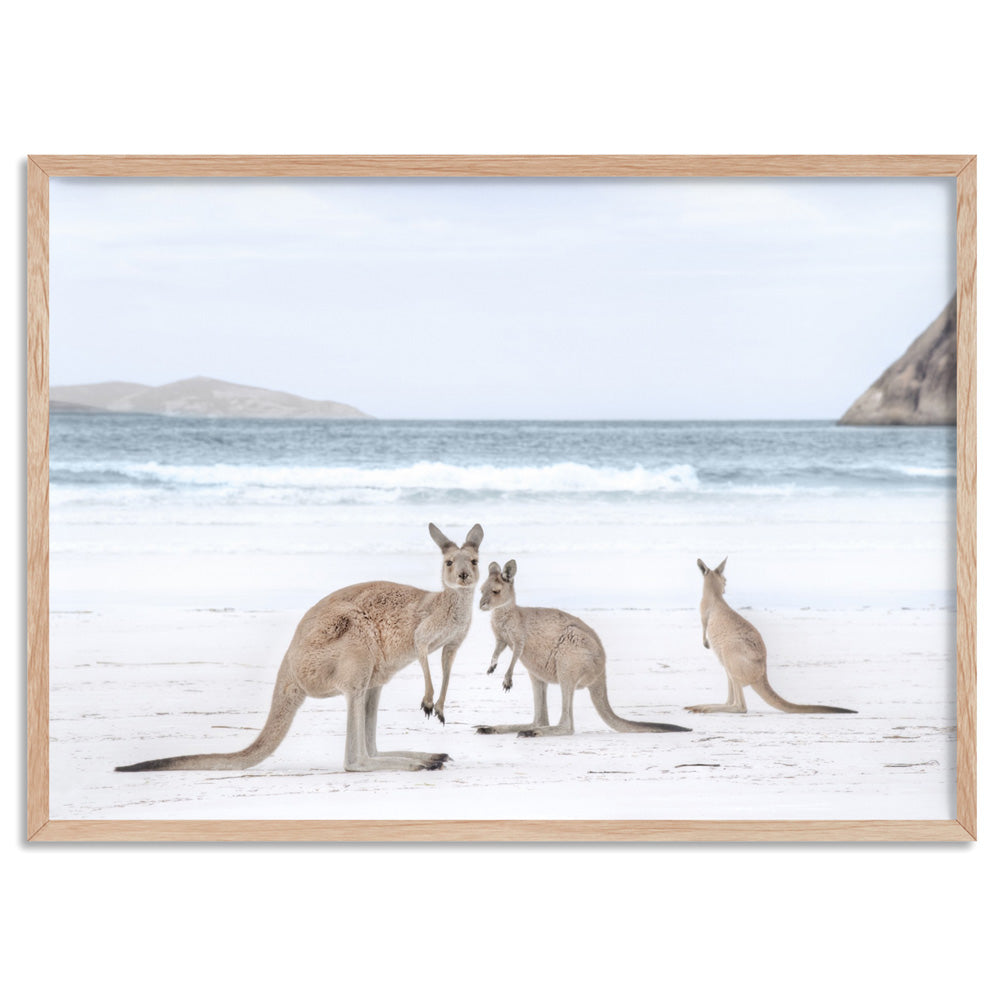 Coastal Beach Kangaroos II - Art Print, Poster, Stretched Canvas, or Framed Wall Art Print, shown in a natural timber frame