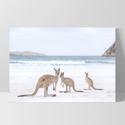 Coastal Beach Kangaroos II - Art Print, Poster, Stretched Canvas, or Framed Wall Art Print, shown as a stretched canvas or poster without a frame