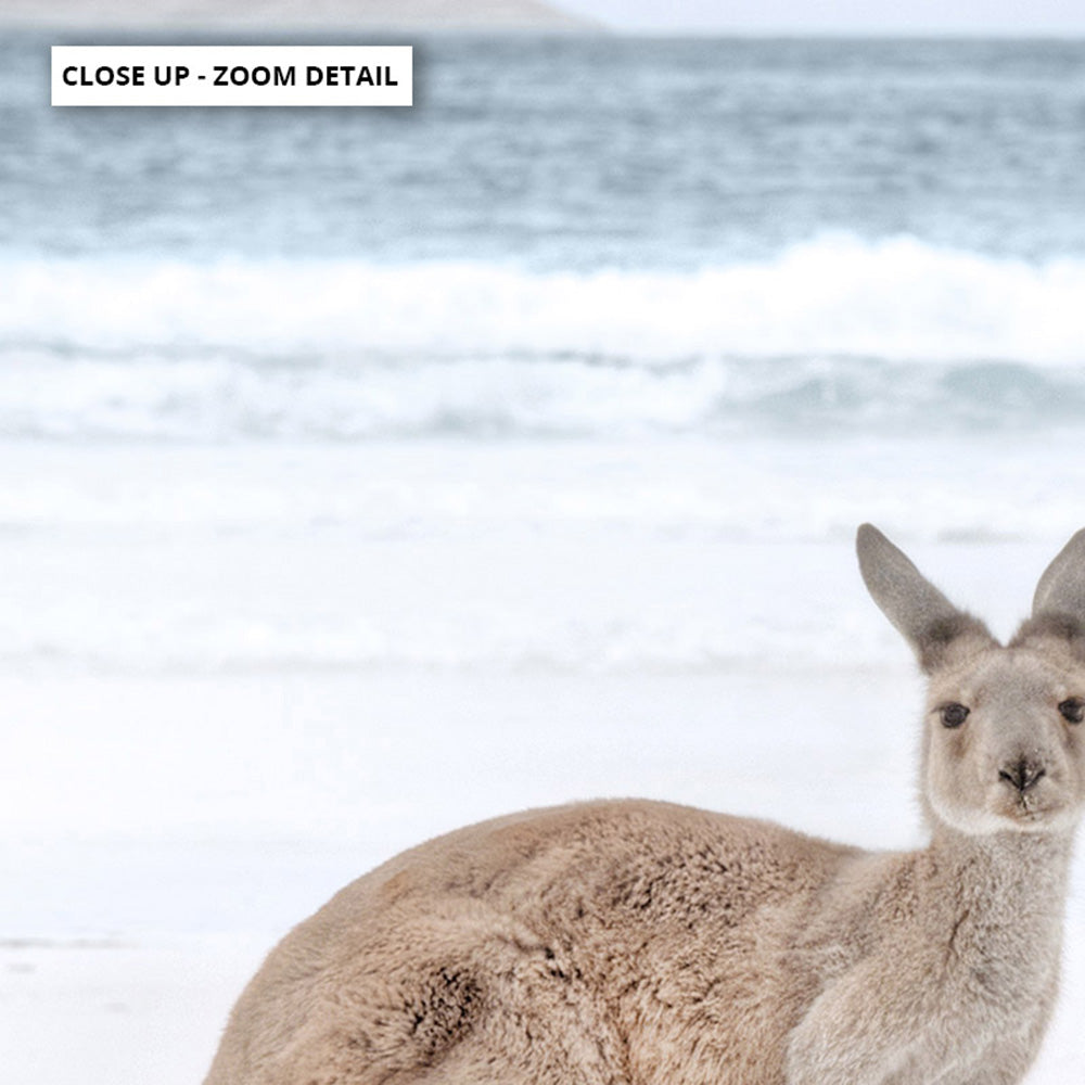 Coastal Beach Kangaroos II - Art Print, Poster, Stretched Canvas or Framed Wall Art, Close up View of Print Resolution