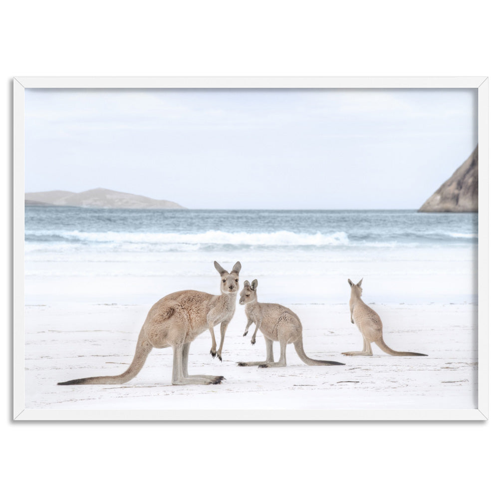 Coastal Beach Kangaroos II - Art Print, Poster, Stretched Canvas, or Framed Wall Art Print, shown in a white frame