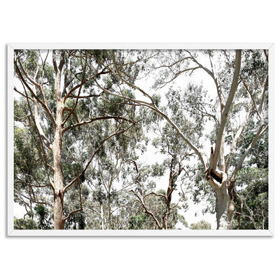 Among the Gumtrees - Art Print, Poster, Stretched Canvas, or Framed Wall Art Print, shown in a white frame