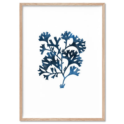 Hamptons Watercolour Blue Coral I - Art Print, Poster, Stretched Canvas, or Framed Wall Art Print, shown in a natural timber frame