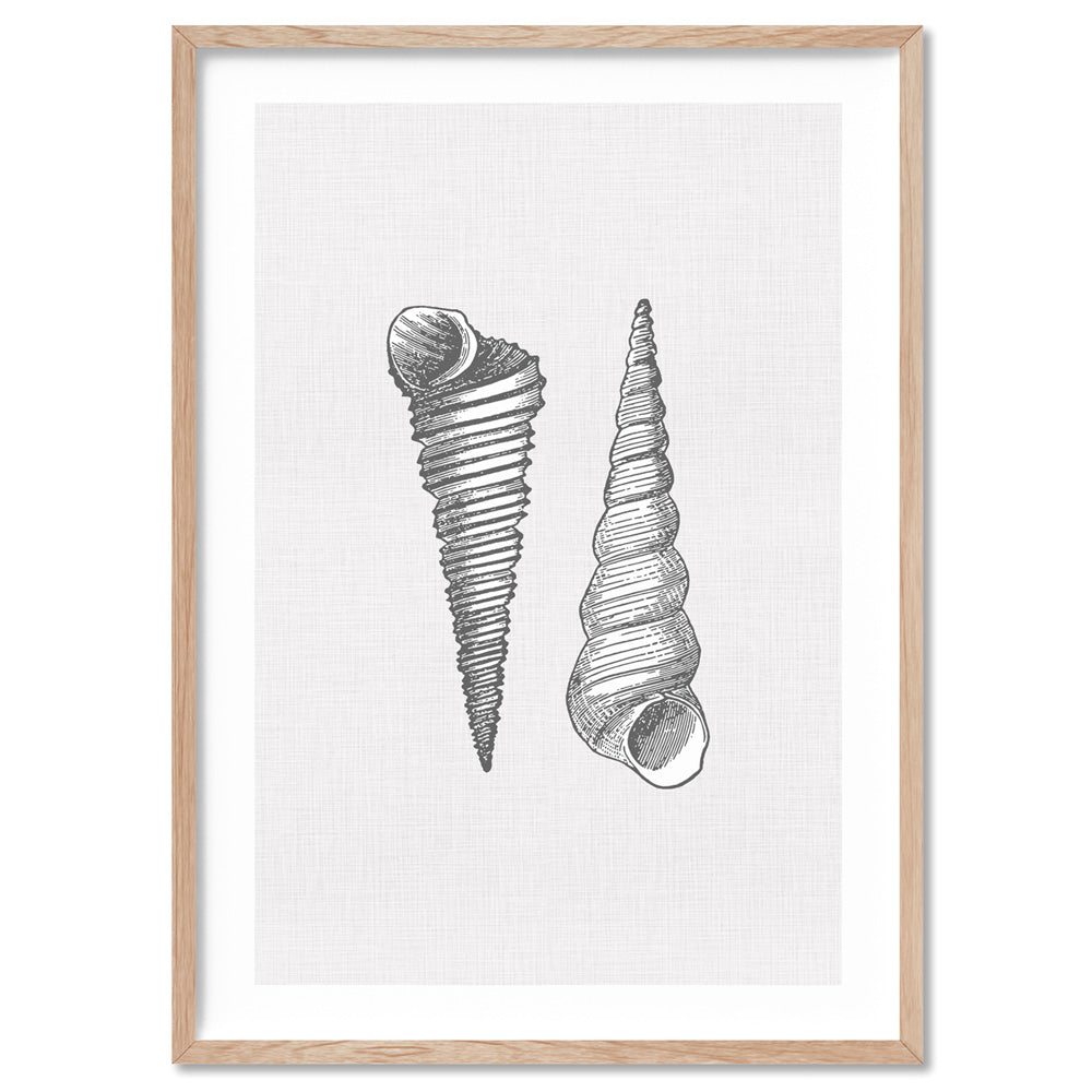 Sea Shells in Grey | Auger Shells - Art Print, Poster, Stretched Canvas, or Framed Wall Art Print, shown in a natural timber frame