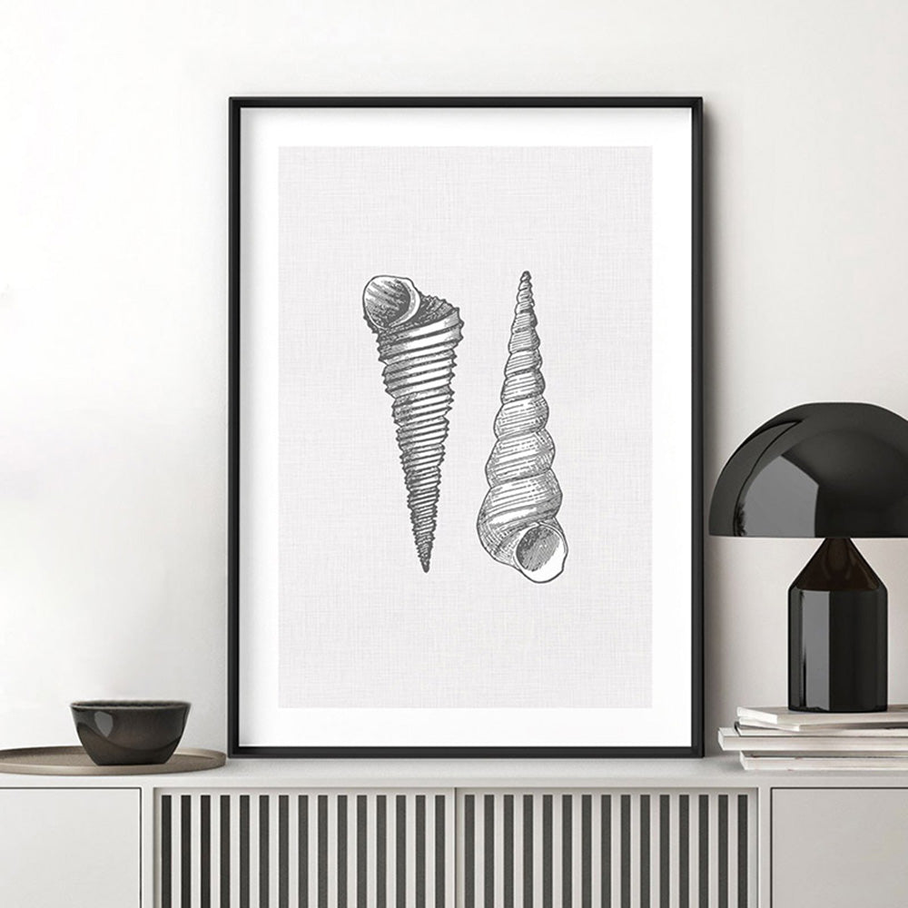 Sea Shells in Grey | Auger Shells - Art Print, Poster, Stretched Canvas or Framed Wall Art Prints, shown framed in a room