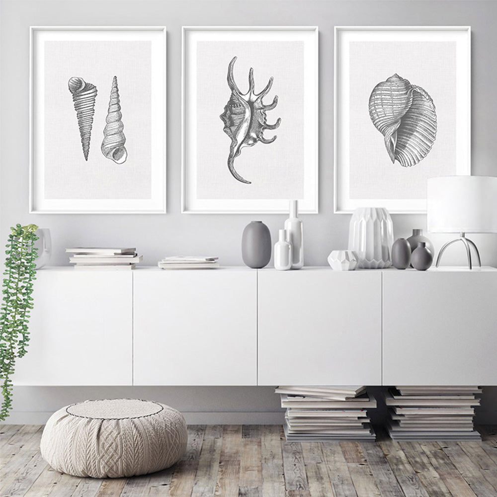 Sea Shells in Grey | Auger Shells - Art Print, Poster, Stretched Canvas or Framed Wall Art, shown framed in a home interior space