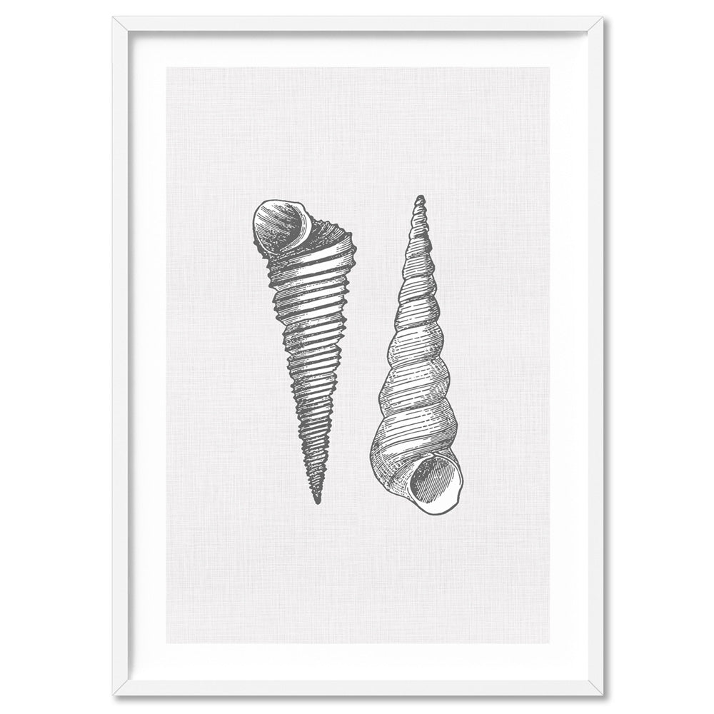 Sea Shells in Grey | Auger Shells - Art Print, Poster, Stretched Canvas, or Framed Wall Art Print, shown in a white frame