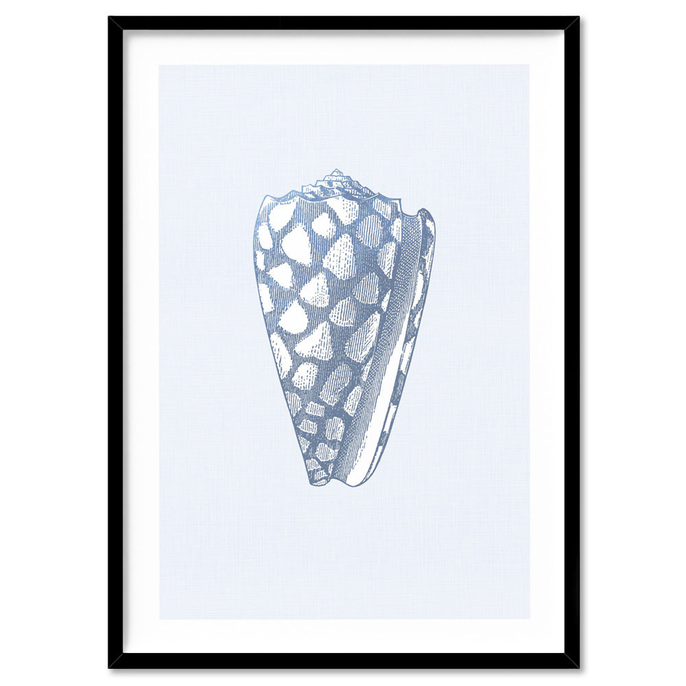 Sea Shells in Blue | Cone  Shell - Art Print, Poster, Stretched Canvas, or Framed Wall Art Print, shown in a black frame