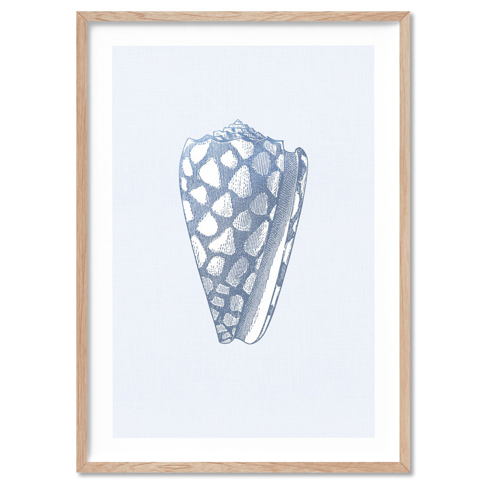 Sea Shells in Blue | Cone  Shell - Art Print, Poster, Stretched Canvas, or Framed Wall Art Print, shown in a natural timber frame