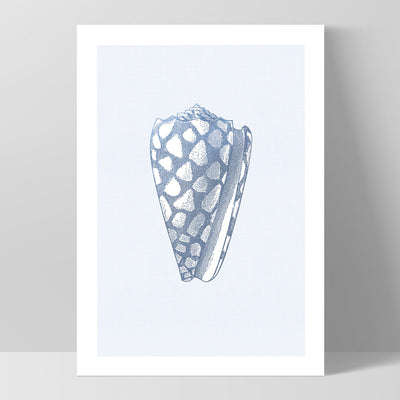 Sea Shells in Blue | Cone  Shell - Art Print, Poster, Stretched Canvas, or Framed Wall Art Print, shown as a stretched canvas or poster without a frame