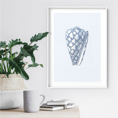 Sea Shells in Blue | Cone  Shell - Art Print, Poster, Stretched Canvas or Framed Wall Art, shown framed in a room