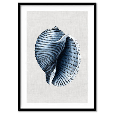Sea Shells in Navy | Scotch Bonnet - Art Print, Poster, Stretched Canvas, or Framed Wall Art Print, shown in a black frame