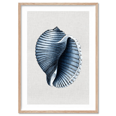 Sea Shells in Navy | Scotch Bonnet - Art Print, Poster, Stretched Canvas, or Framed Wall Art Print, shown in a natural timber frame