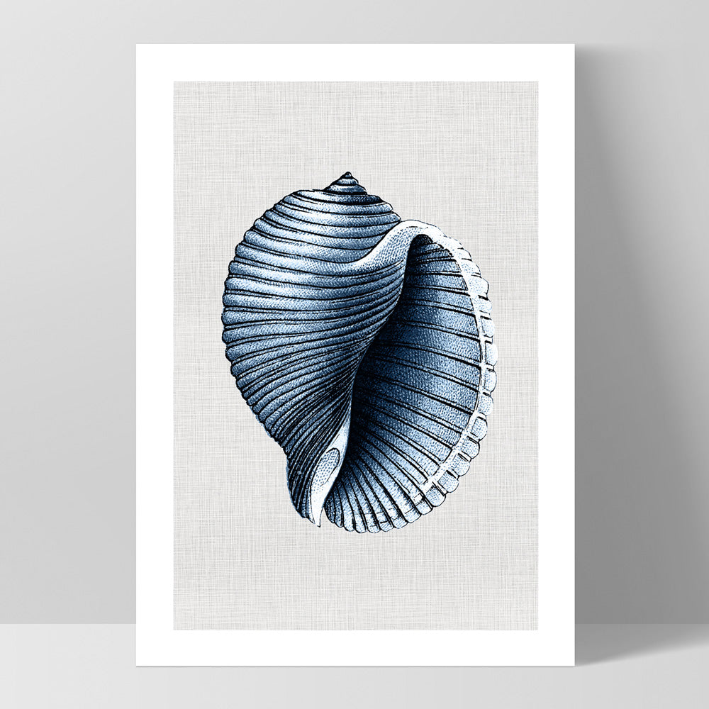 Sea Shells in Navy | Scotch Bonnet - Art Print, Poster, Stretched Canvas, or Framed Wall Art Print, shown as a stretched canvas or poster without a frame