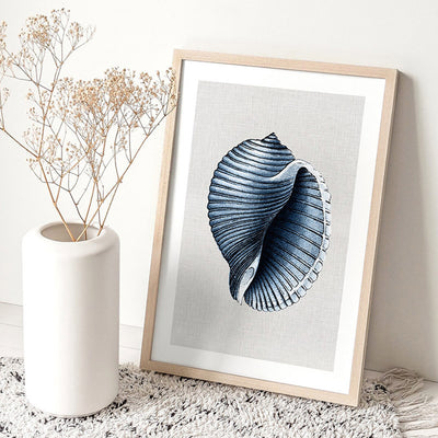 Sea Shells in Navy | Scotch Bonnet - Art Print, Poster, Stretched Canvas or Framed Wall Art Prints, shown framed in a room