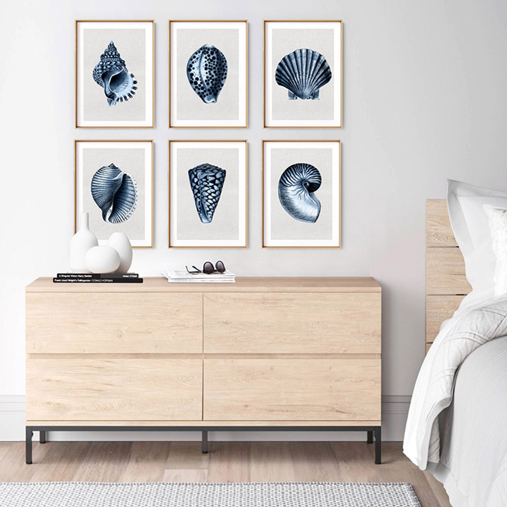 Sea Shells in Navy | Scotch Bonnet - Art Print, Poster, Stretched Canvas or Framed Wall Art, shown framed in a home interior space
