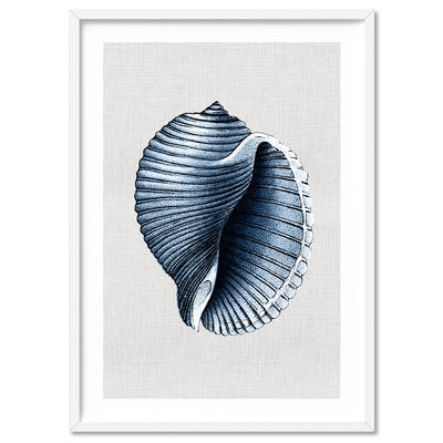 Sea Shells in Navy | Scotch Bonnet - Art Print, Poster, Stretched Canvas, or Framed Wall Art Print, shown in a white frame
