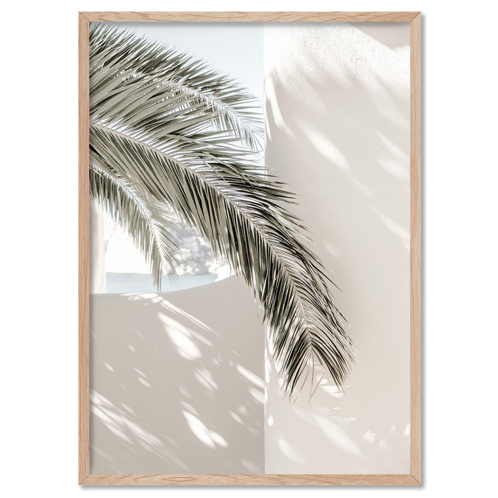 Mediterranean Palm Shadow  - Art Print, Poster, Stretched Canvas, or Framed Wall Art Print, shown in a natural timber frame