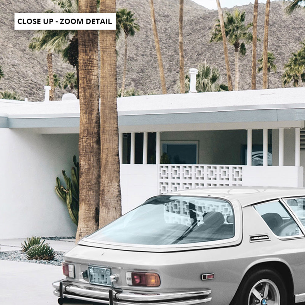 Palm Springs | 940 Classic - Art Print, Poster, Stretched Canvas or Framed Wall Art, Close up View of Print Resolution