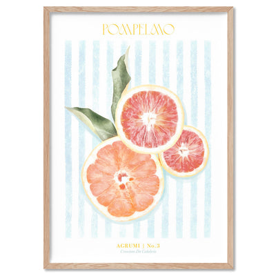 Agrumi No 3 | Grapefruit- Art Print by Vanessa, Poster, Stretched Canvas, or Framed Wall Art Print, shown in a natural timber frame