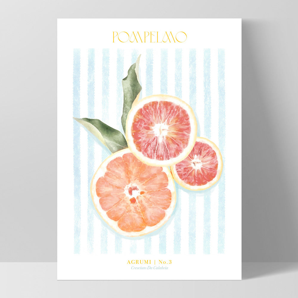 Agrumi No 3 | Grapefruit- Art Print by Vanessa, Poster, Stretched Canvas, or Framed Wall Art Print, shown as a stretched canvas or poster without a frame