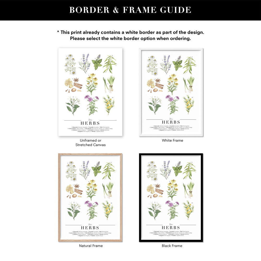 Tea Herbs Chart - Art Print, Poster, Stretched Canvas or Framed Wall Art, Showing White , Black, Natural Frame Colours, No Frame (Unframed) or Stretched Canvas, and With or Without White Borders