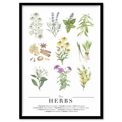 Tea Herbs Chart - Art Print, Poster, Stretched Canvas, or Framed Wall Art Print, shown in a black frame