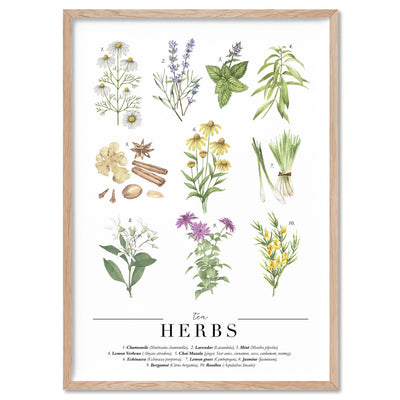 Tea Herbs Chart - Art Print, Poster, Stretched Canvas, or Framed Wall Art Print, shown in a natural timber frame