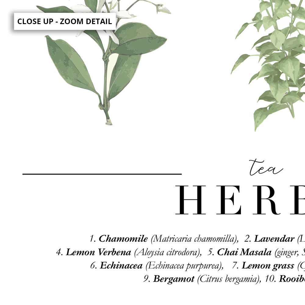 Tea Herbs Chart - Art Print, Poster, Stretched Canvas or Framed Wall Art, Close up View of Print Resolution